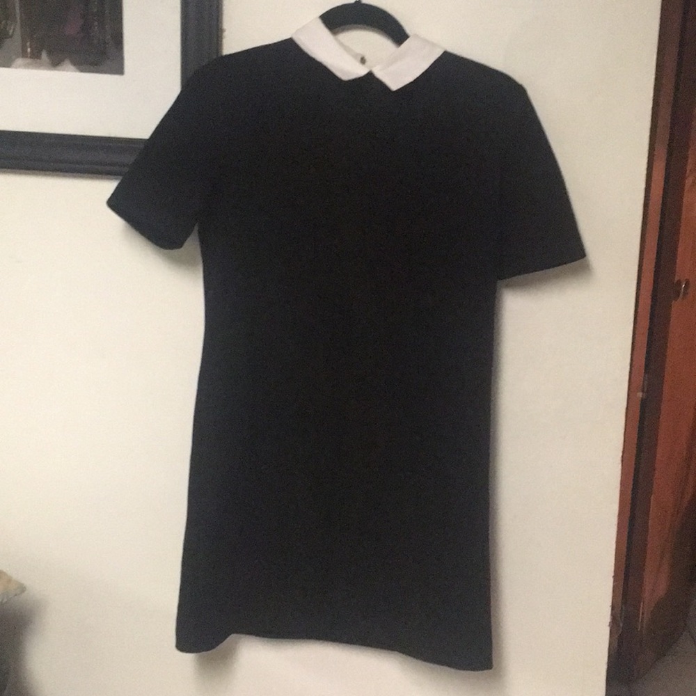 Zara women black dress with collar